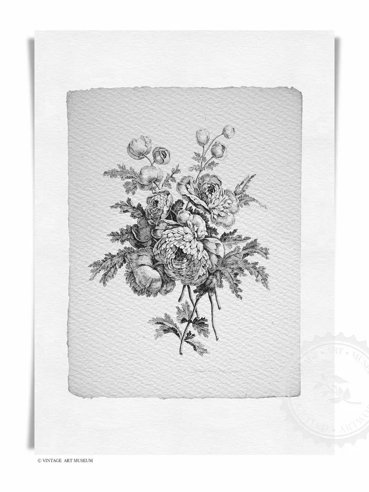 Vintage Botanical Print Set of 2 Sketches, Antique Floral Art Digital, Printable French Country Decor | 23 S2