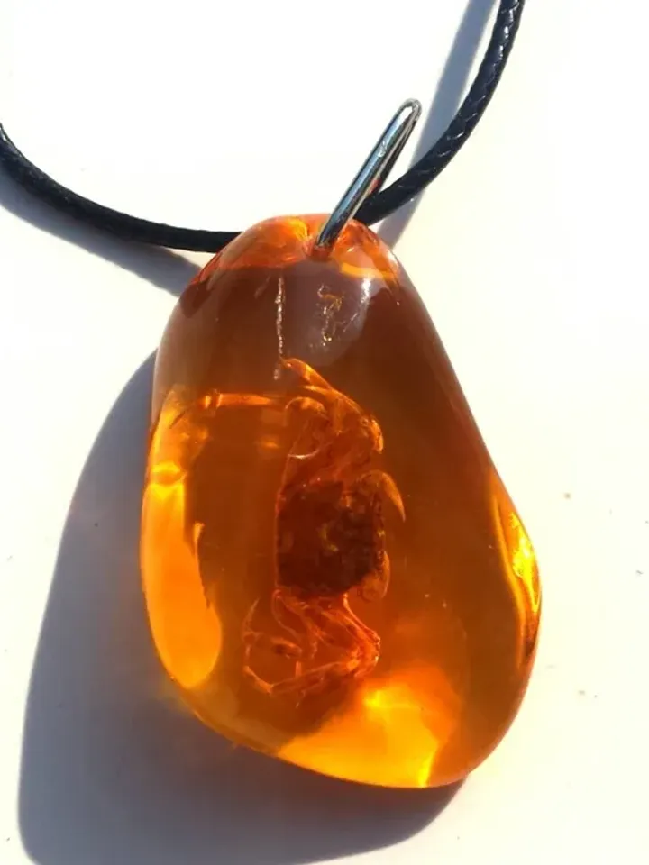Real Crab in Amber Resin Cancer Pendant Necklace Amulet necklace Animal jewelry gift children birthday gift cancer