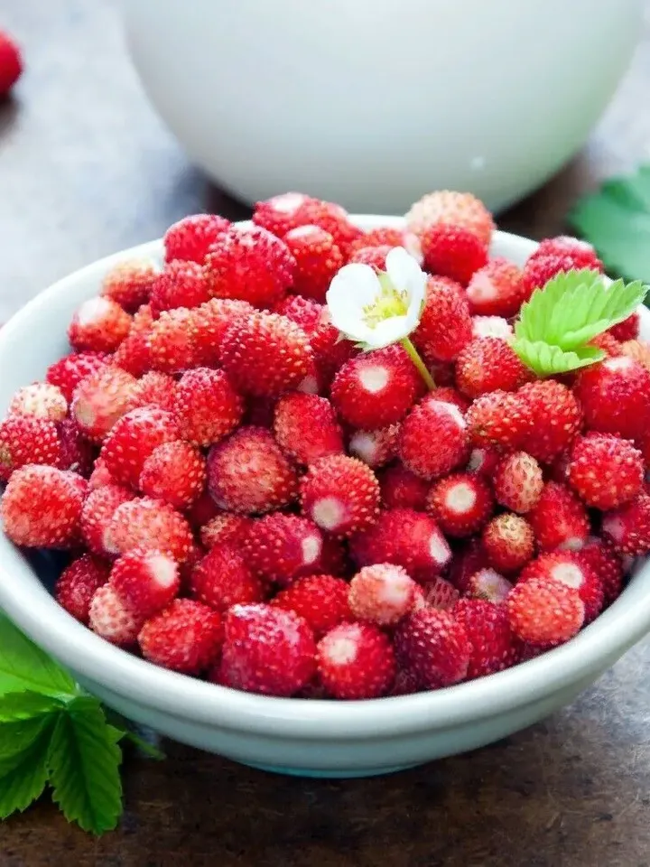 Dried wild strawberries 250 gr ( 8.82 oz )