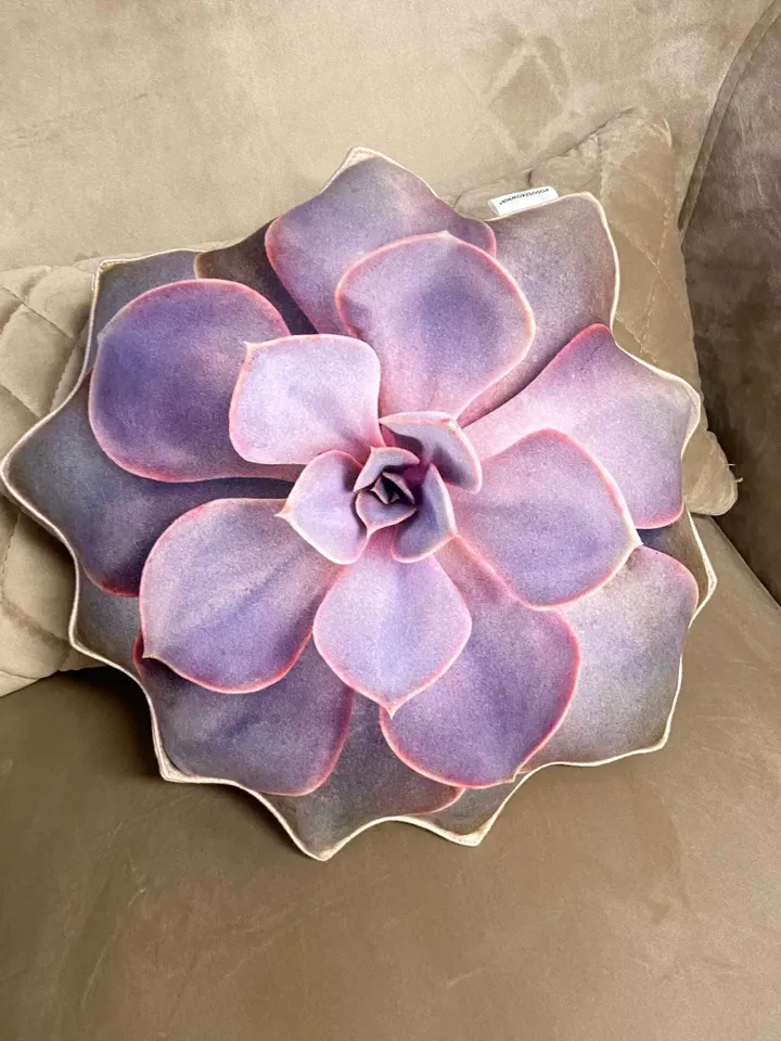 small Succulent pillow /  echeveria pillow / Perle von Nürnberg succulent / succulent cushion / plant pillow / purple succulent