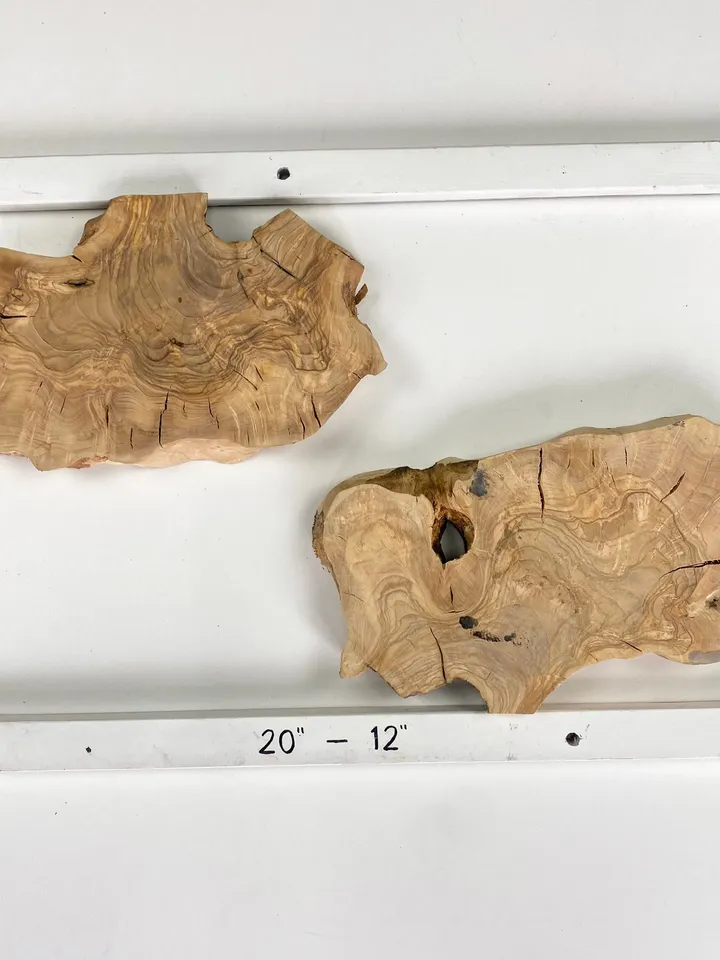 Olive Wood Slab for Resin DIY Art, 2Pcs Epoxy Resin Wood, Live Edge Wood Slab, Wood Slices, Tree Slice, Natural Wood Slab