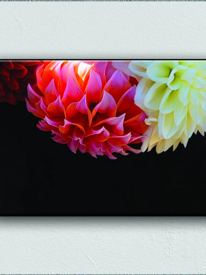 Flower Print on Canvas , Floating Frame Option, Modern Wall Art, Extra Large Canvas Wall Art