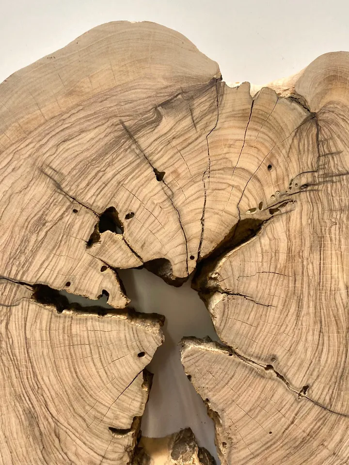 Live Edge Olive Wood Slab, 13"x13"x1.6" Tree Slice, Epoxy Resin Wood, DIY Wood Art, Wood Burl