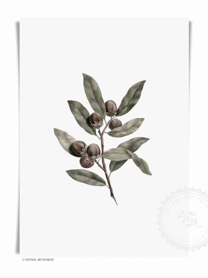 Vintage Olive Branch Print Botanical Wall Art, Large Watercolor Painting, Printable Digital Decor | 146