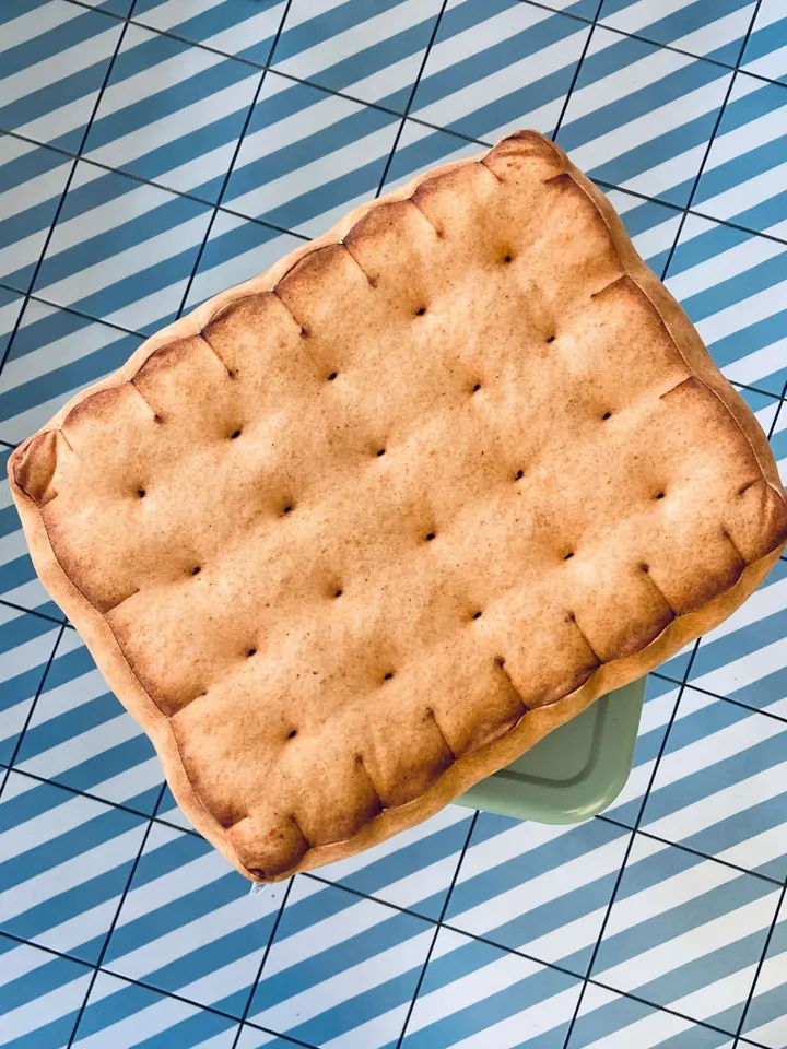 Biscuit pillow / Plush Biscuit / tea biscuit / cookie pillow /  funny cat bed / biscuit seat / food pillow / giant biscuit