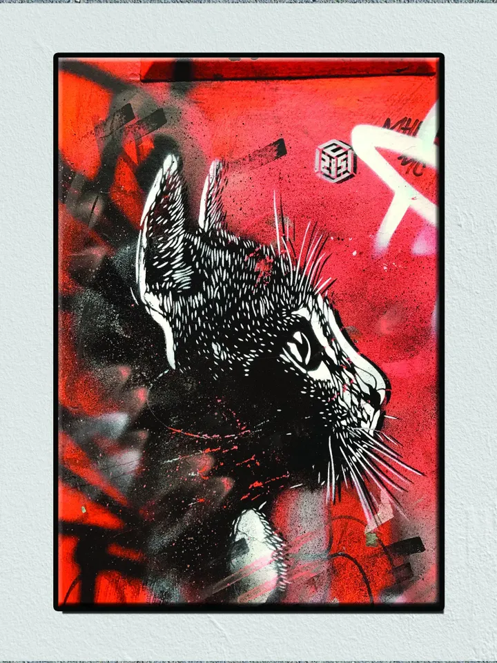Cat Street Graffiti Print on Canvas , Floating Frame Option, Modern Wall Art, Extra Large Canvas Wall Art