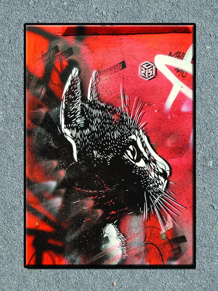 Cat Street Graffiti Print on Canvas , Floating Frame Option, Modern Wall Art, Extra Large Canvas Wall Art