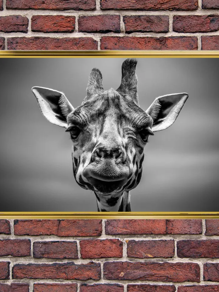 Giraffe Print on Canvas , Floating Frame Option, Modern Wall Art, Extra Large Canvas Wall Art