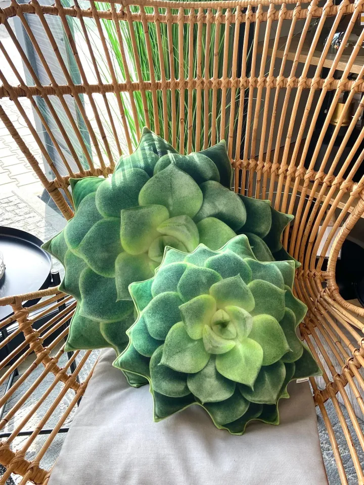 succulent green pillow small  / echeveria pillow / succulent cushion / plant / plant lover / succulent gift