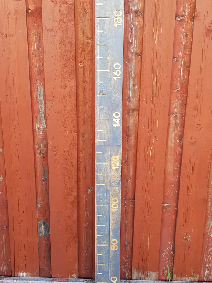 METRIC Engraved Growth Chart Ruler - FREE SHIP | Engraved Family Name Ruler | Wall Ruler | Measure 2 Meter | Kids Height Ruler | Wall Decor
