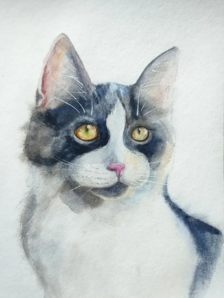 Cat painting white kitty artwork original watercolor art pet portrate white spotted cat