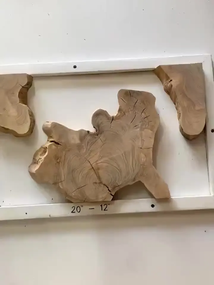 Olive Wood Cookies, Epoxy Resin Wood, Live Edge Wood Slab, Raw Edge Wood Slab, READY TO SHIP