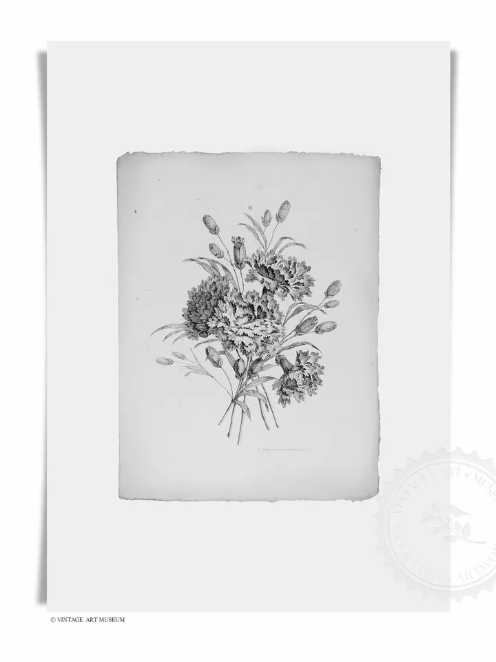 Botanical Sketches Gallery Wall Set of 6 Vintage Prints, Floral Downloadable Printable Art, French Decor | S6-1