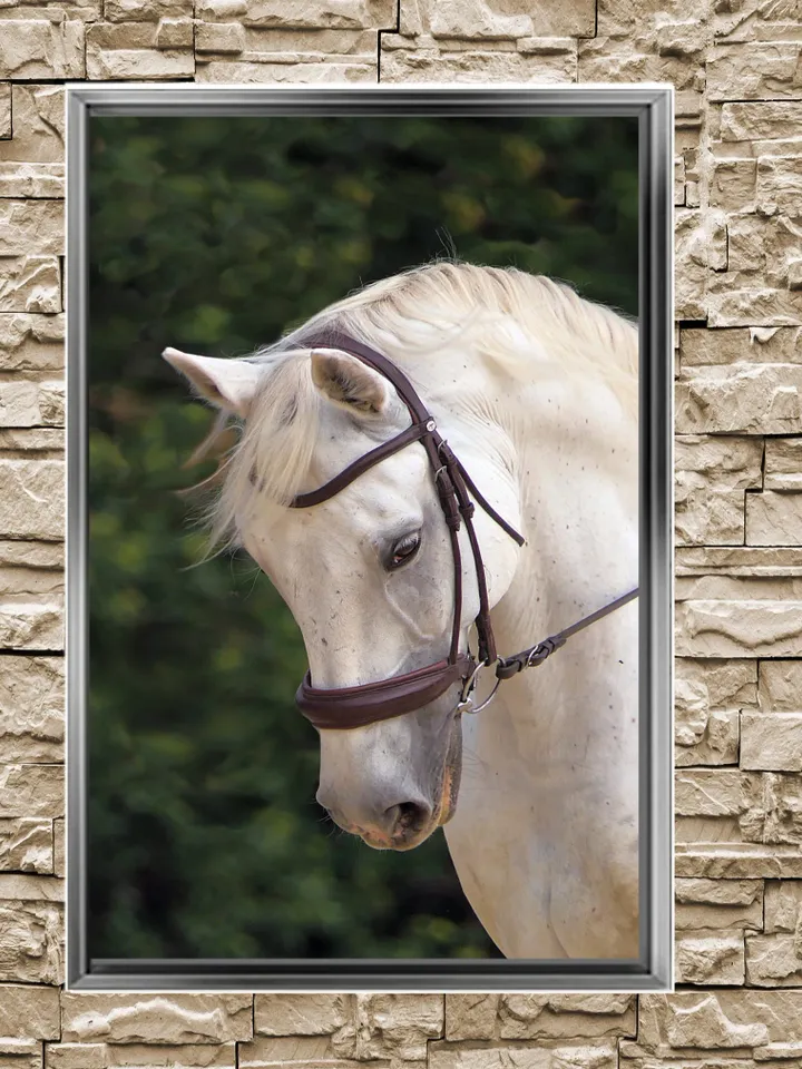 White Horse Print on Canvas , Floating Frame Option, Modern Wall Art, Extra Large Canvas Wall Art