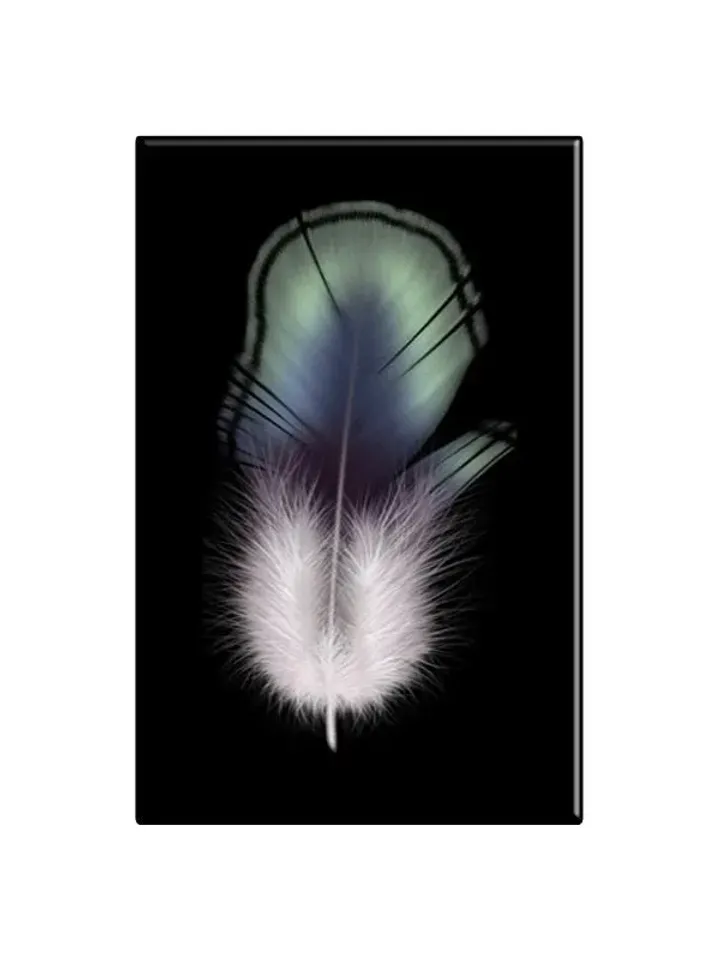 Feather Print on Canvas , Floating Frame Option, Modern Wall Art, Extra Large Canvas Wall Art