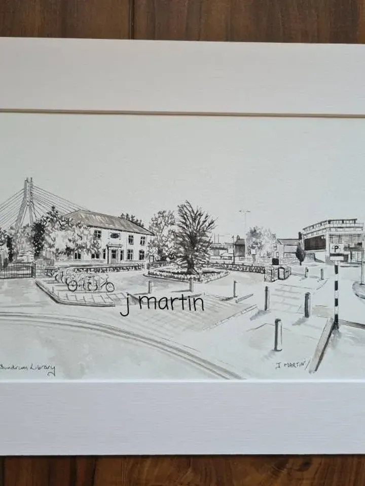 Dundrum Library, Dundrum, Dublin, DLR libraries, unmounted, unframed