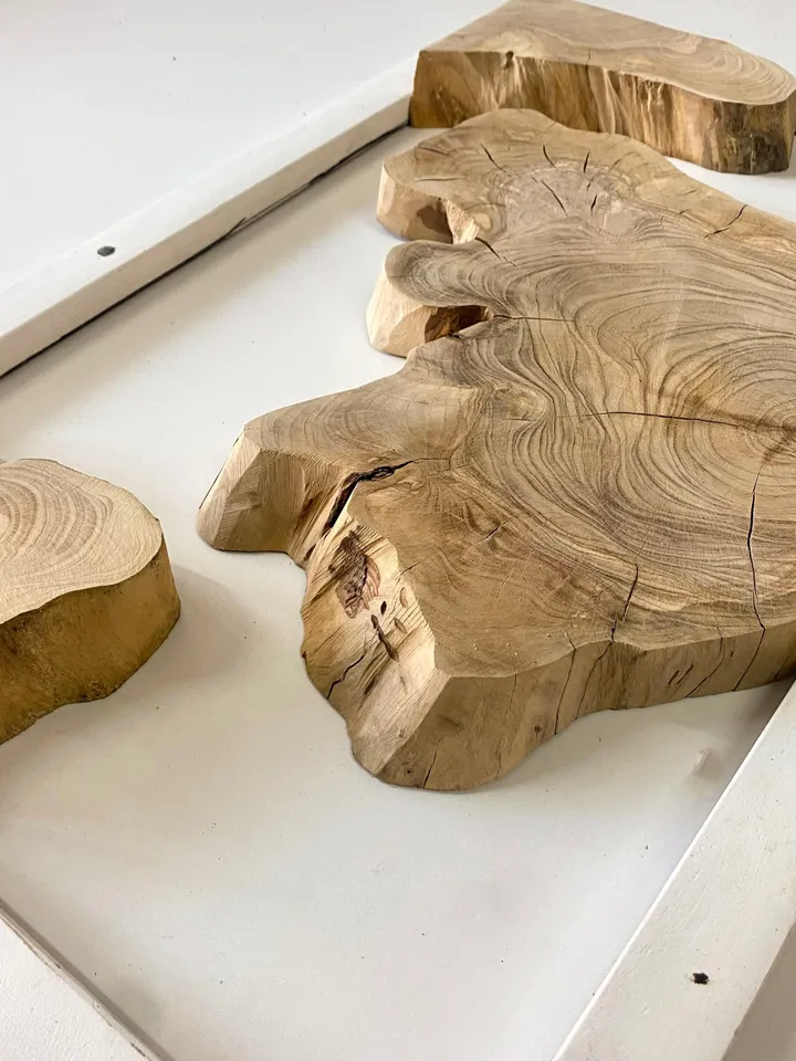 Olive Wood Cookies, Epoxy Resin Wood, Live Edge Wood Slab, Raw Edge Wood Slab, READY TO SHIP