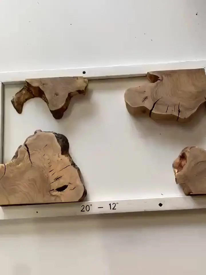 Olive Wood Cookies, Epoxy Resin Wood, Live Edge Wood Slab, Raw Edge Wood Slab, READY TO SHIP