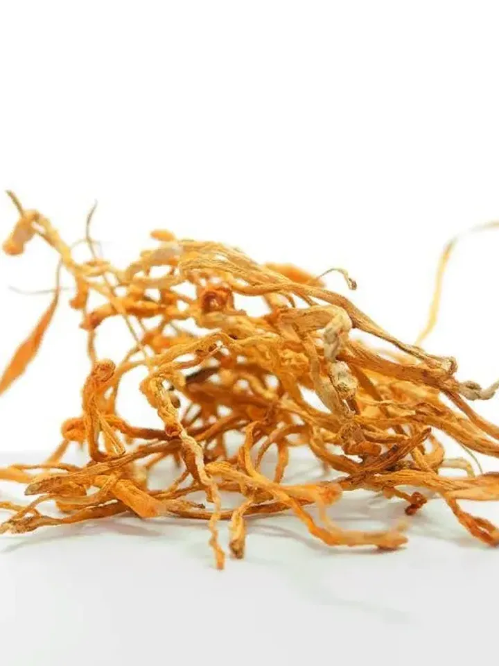 Cordyceps millitaris dried mushroom fruit bodies Youth Health Longevity 100 g ( 3.53 oz)