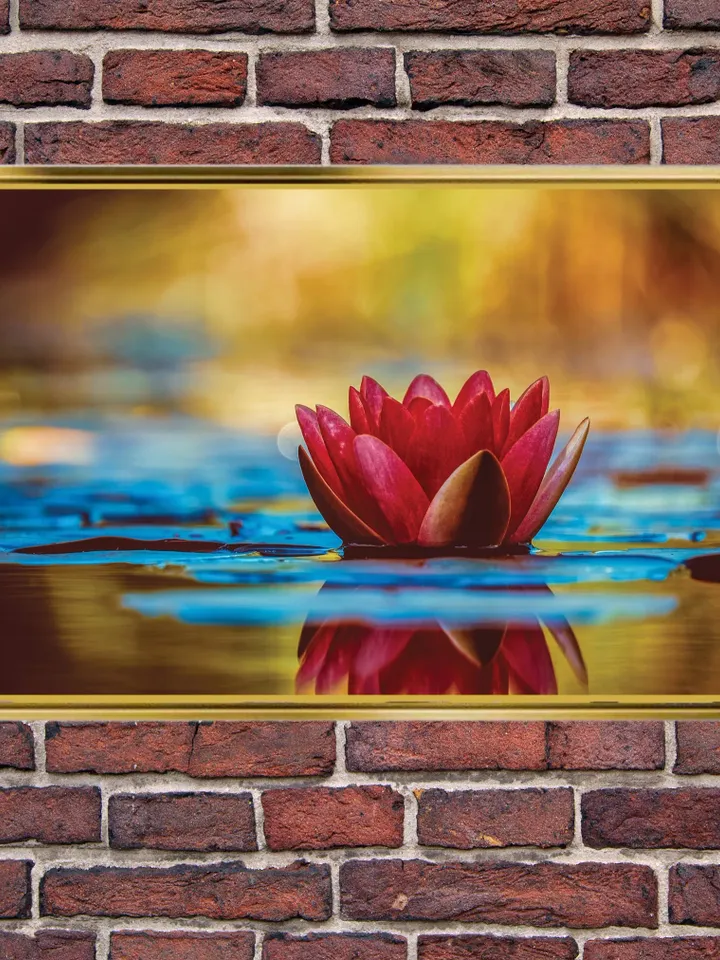 Lotus flower Print on Canvas , Floating Frame Option, Modern Wall Art, Extra Large Canvas Wall Art
