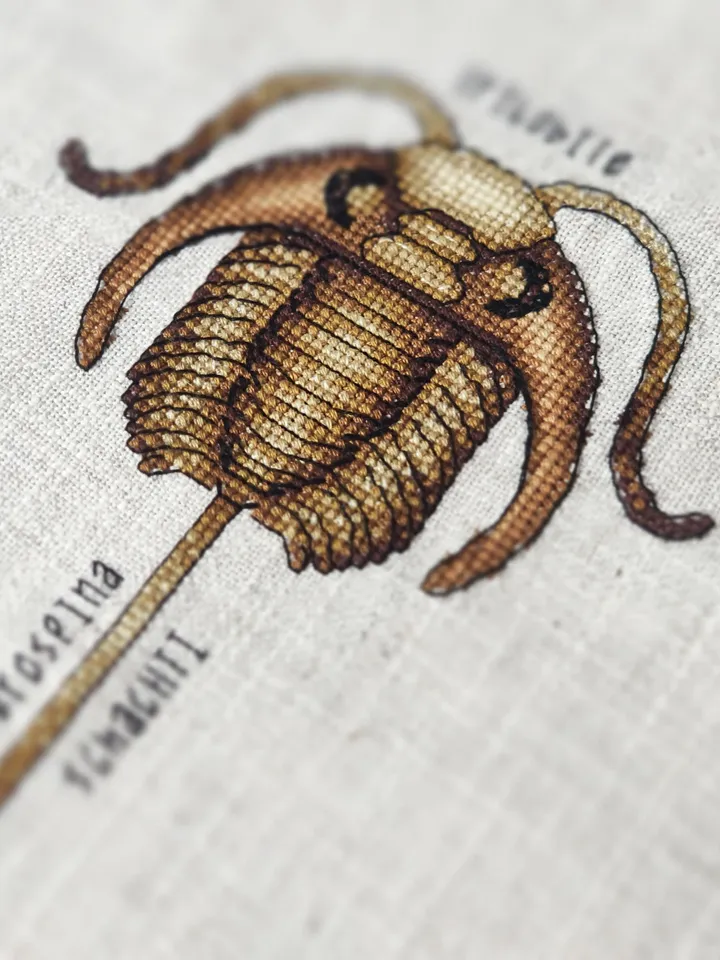 Completed Cross Stitch Trilobite fossil, Finished Cross Stitch picture, Paleontology Cross Stitch design, Modern xstitch