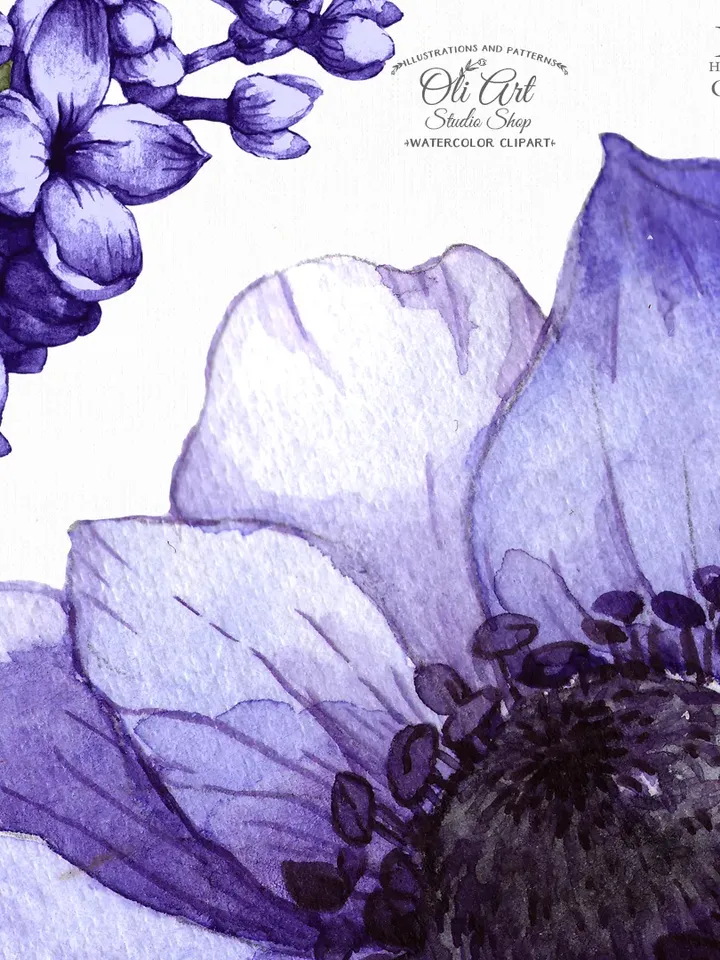 Watercolor Anemones Flowers Elements. Anemone Clip Art. PNG. Hand Drawn graphics. Digital Download. OliArtStudioShop