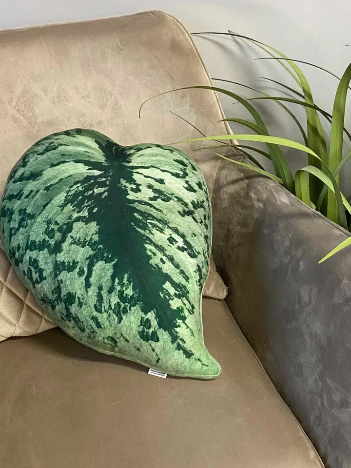 Scindapsus plant pillow / scindapsus cushion / scindapsus pictus / scindapsus exotica / plant pillow / plant lover gift / plant cushion