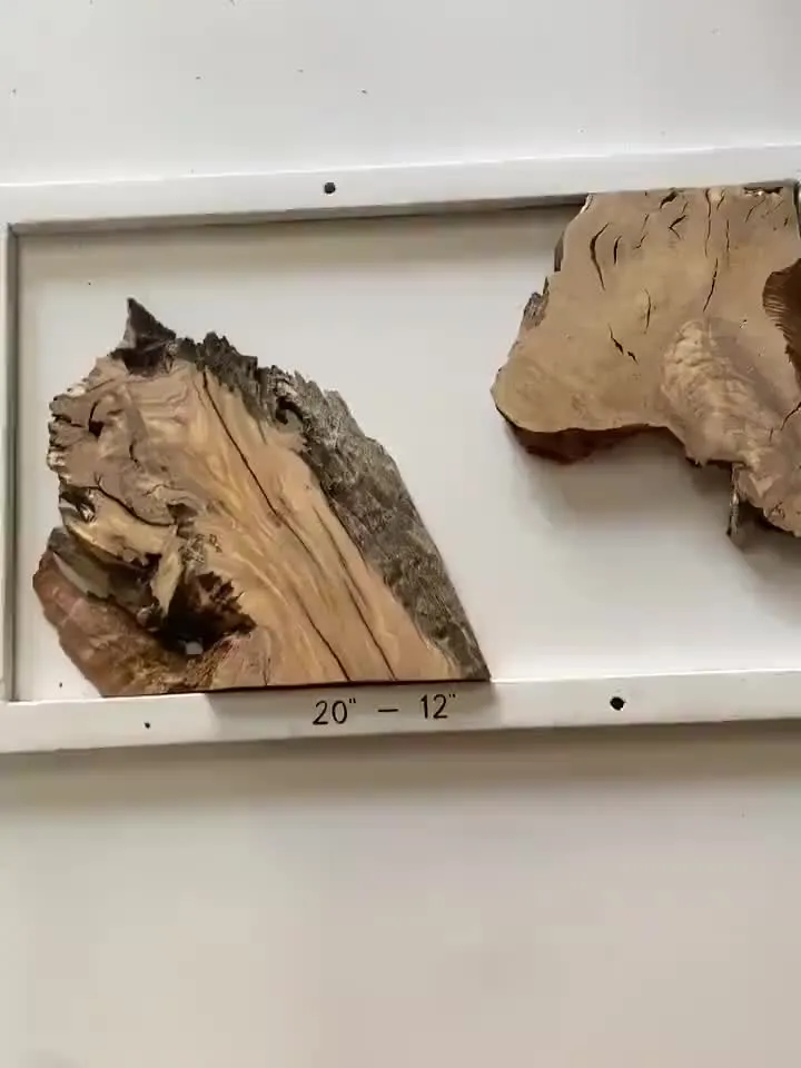 Olive Wood Cookies, Epoxy Resin Wood, Live Edge Wood Slab, Raw Edge Wood Slab, READY TO SHIP