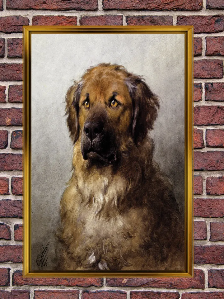 Dog Print on Canvas , Floating Frame Option, Modern Wall Art, Extra Large Canvas Wall Art