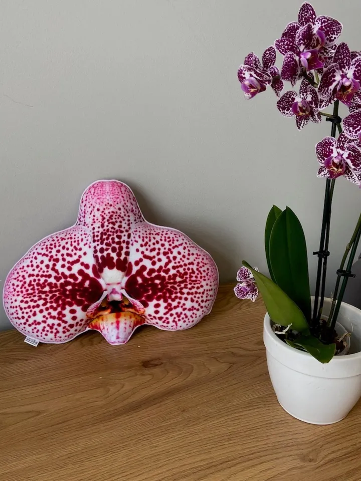 small Orchid pillow / orchids / flower pillow / Phalaenopsis / Orchidaceae / orchidée / flower houseplant / plant lover/ flower decor