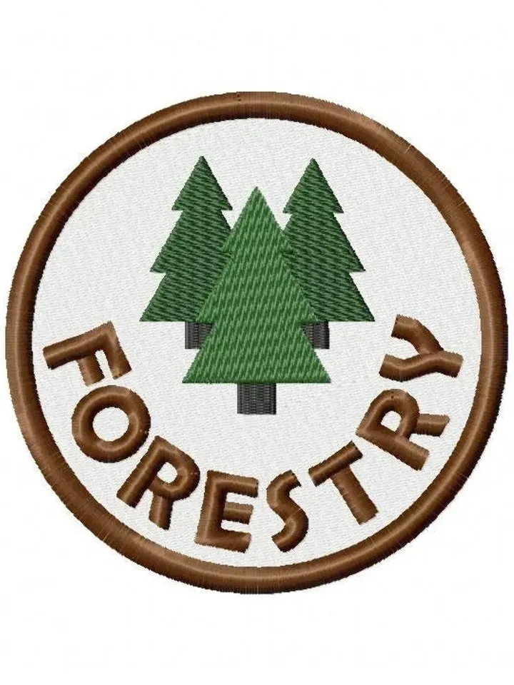 50% off,9 Camping Activity Badges Embroidery Design Pack,BirdStudy,Canoeing,FireSafety,FirstAid,Fishing,Forestry,Hiking,Swimming