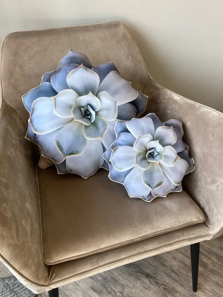 small Succulent pillow / echeveria pillow / plant pillow / succulent cushion / grey echeveria
