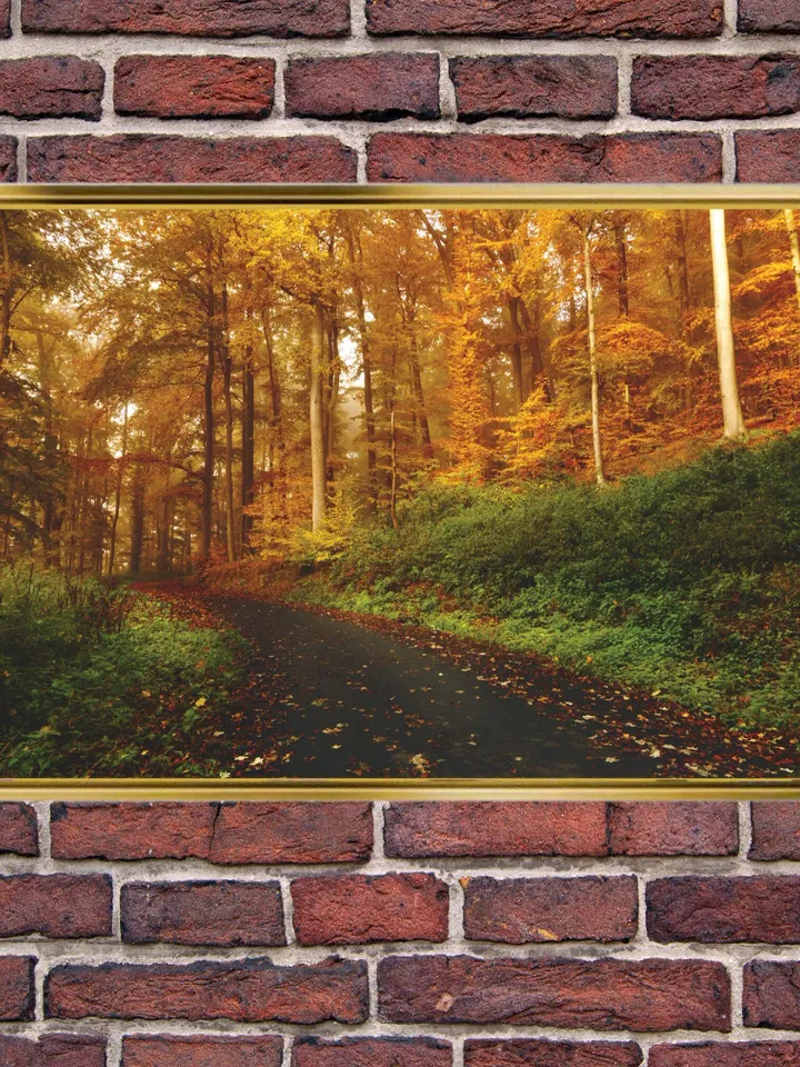 Forest Landscape Print on Canvas , Floating Frame Option, Modern Wall Art, Extra Large Canvas Wall Art