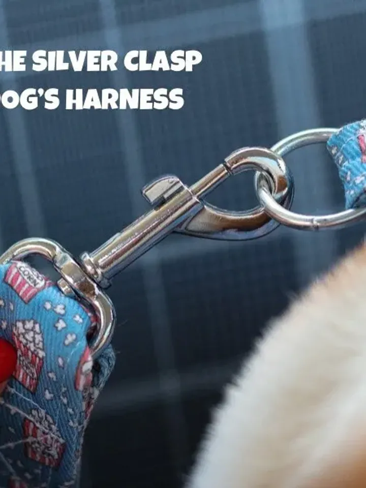 Dog Seat Belt, Pet Car Seat Belt