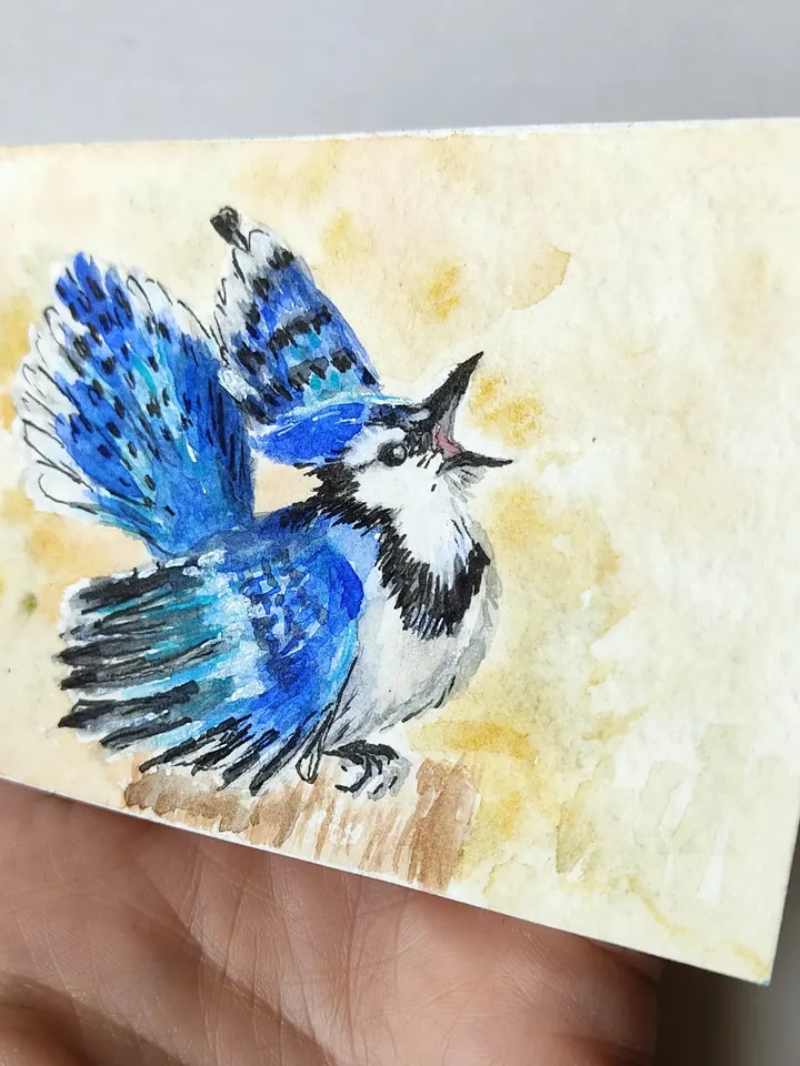Blue jay Original Watercolor Art ACEO bird Miniature Artwork painting