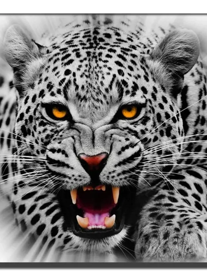 Wild Leopard Print on Canvas , Floating Frame Option, Modern Wall Art, Extra Large Canvas Wall Art