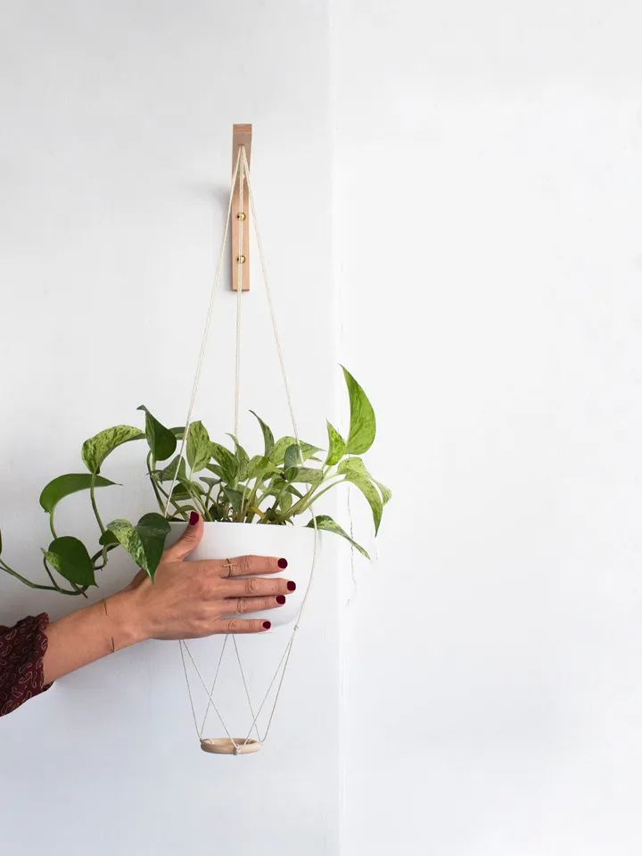 Plant Hanger Indoor, Wall Hook For Hanging Plants, Plant Hanger Hook, Hanging Plant Hook, Wall Plant Hanger