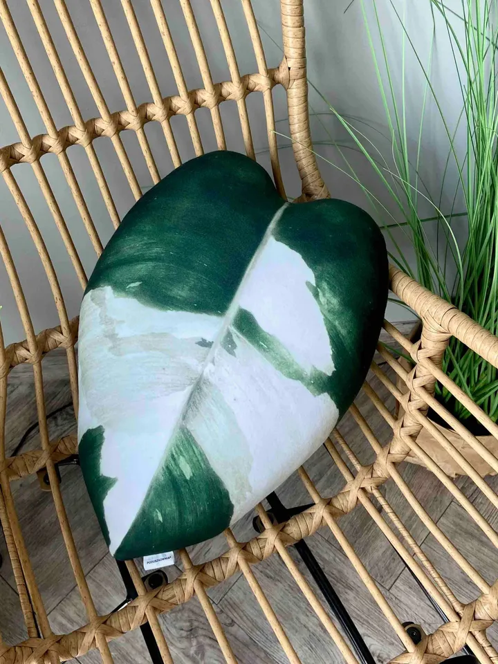 Philodendron White Princess pillow / Philodendron pillow /  philodendron leaf cushion / rare plant pillow / plant lover gift