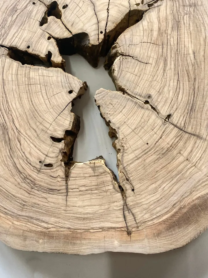 Live Edge Olive Wood Slab, 13"x13"x1.6" Tree Slice, Epoxy Resin Wood, DIY Wood Art, Wood Burl