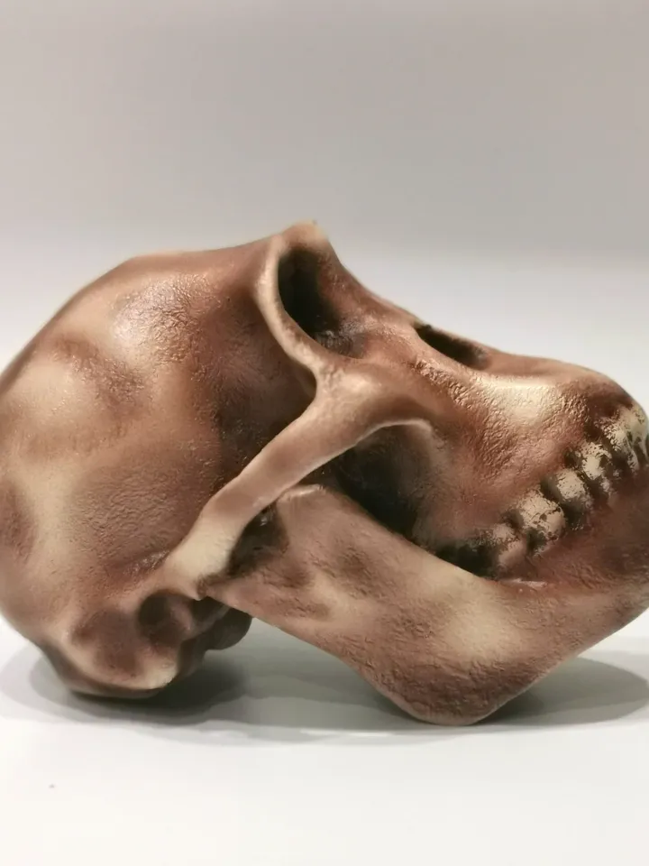 Australopithecus africanus Skull Replica, Full-size 3d printed Hominid Skull, Museum Quality Anthropology Model, Real Fossil Scan