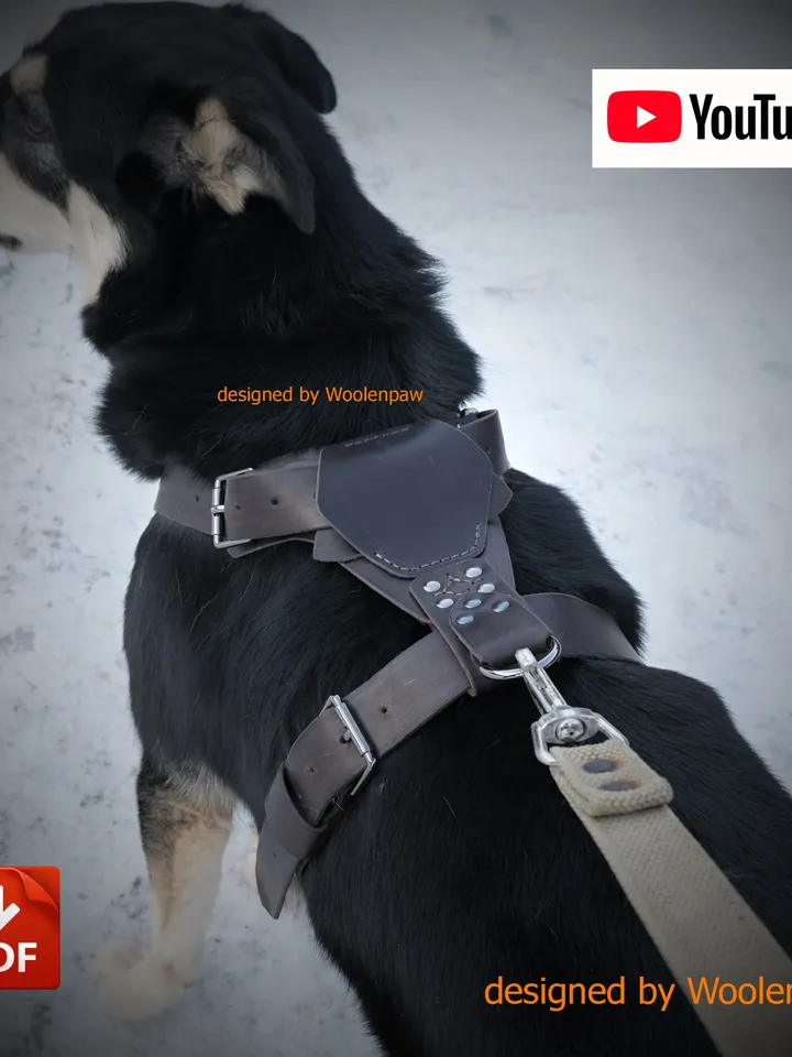 Leather pattern to make Dog harness. OTH13