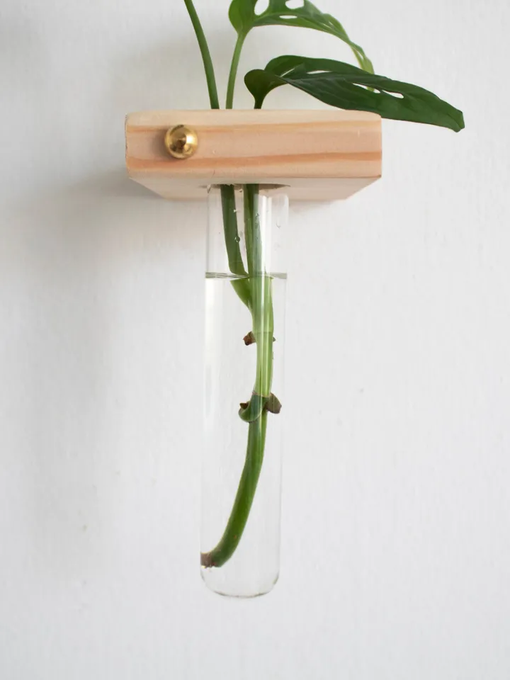 Plant Propagation Wall Hanging, Propagation Station Wall, Test Tube Planter, Wall Hanging Propagation, Wall Plant Hanger, Wall Plant Holder