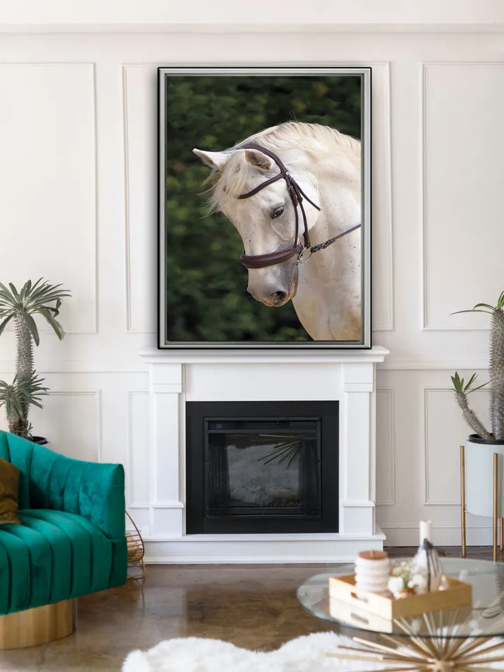 White Horse Print on Canvas , Floating Frame Option, Modern Wall Art, Extra Large Canvas Wall Art