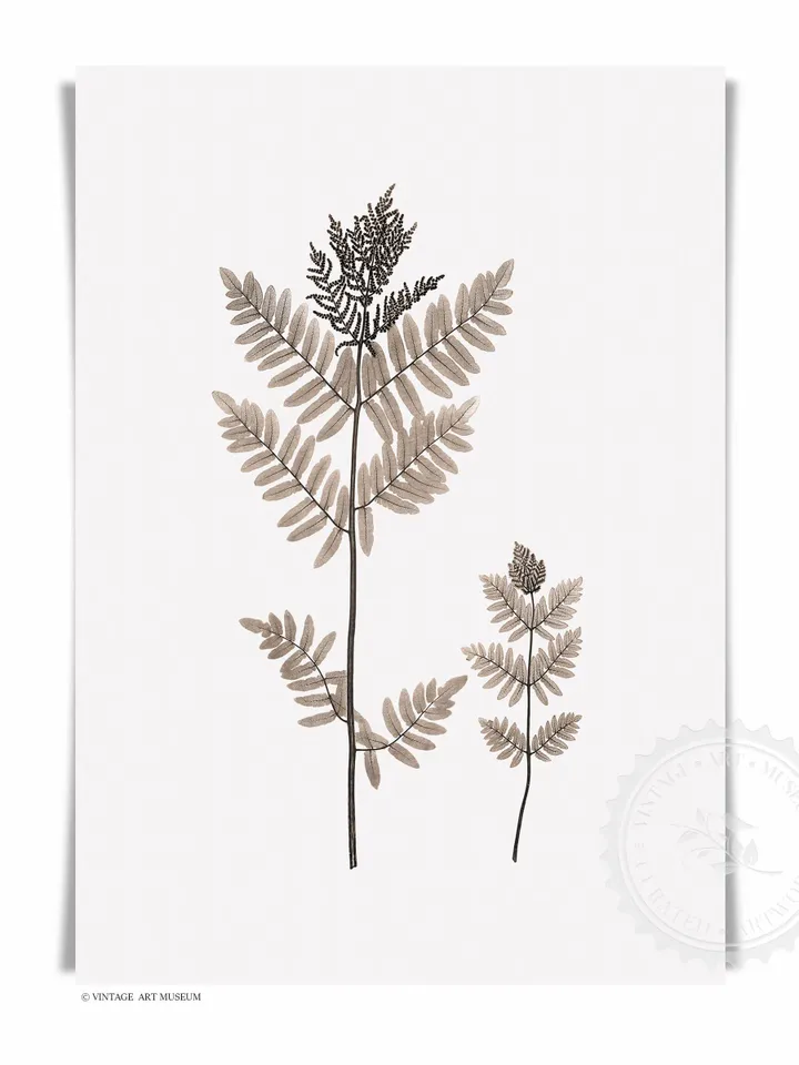 Vintage Fern Prints set of 2 Wall Art, Watercolor Painting Botanical PRINTABLE Home Decor, Digital Downloadable | 28 S2
