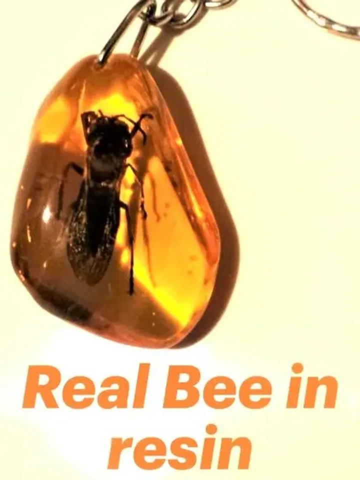 Real insect Bee in Amber Epoxy Resin Keychain Insect taxidermy keyring honeybee Nature Key chain ring Gift to friends
