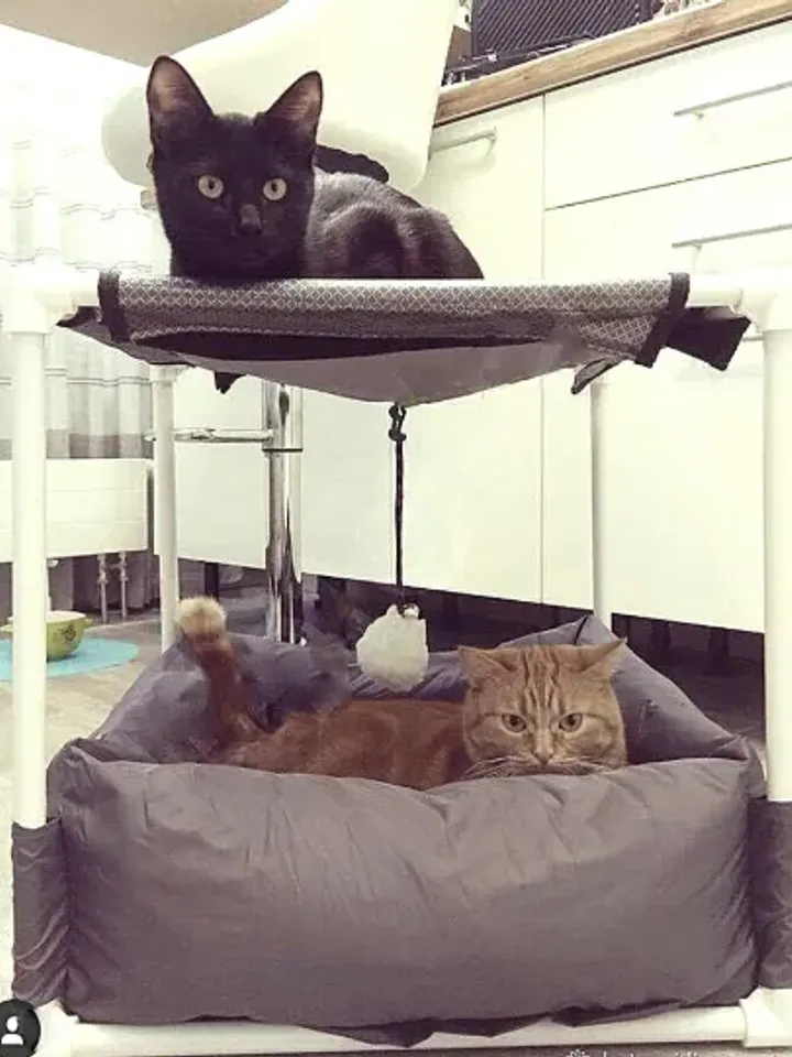 Cat hammock Cat bed cave Cat bed cute Cat bed furniture Cat bunk bed Pet hammock PVC Pet bed furniture Pipe cat cot