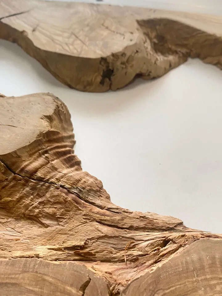 Olive Wood Cookies, Epoxy Resin Wood, Live Edge Wood Slab, Raw Edge Wood Slab, READY TO SHIP