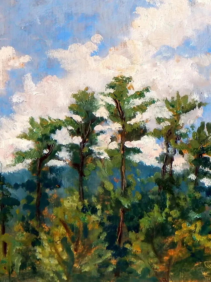 Original Tanglewood Landscape Painting - Tall Pines Blue Sky - 11x12 Oil on Panel, Plein Air Impressionist Oil, Signed Contemporary Fine Art