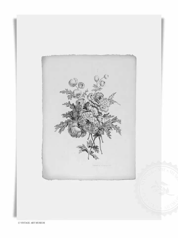 Botanical Sketches Gallery Wall Set of 6 Vintage Prints, Floral Downloadable Printable Art, French Decor | S6-1