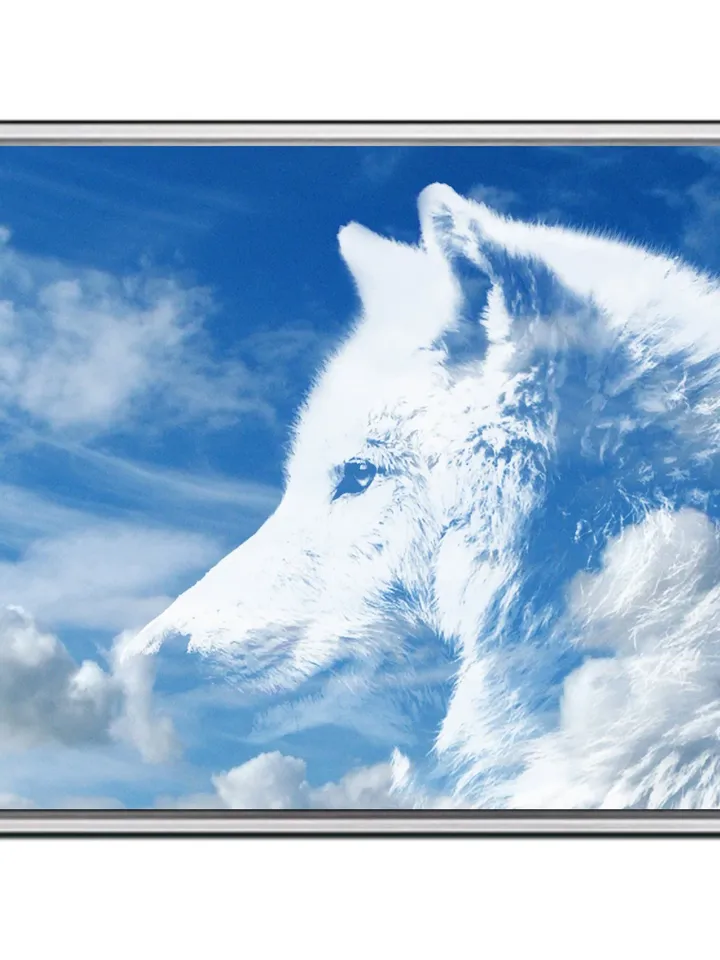 White wolf  Print on Canvas , Floating Frame Option, Modern Wall Art, Extra Large Canvas Wall Art
